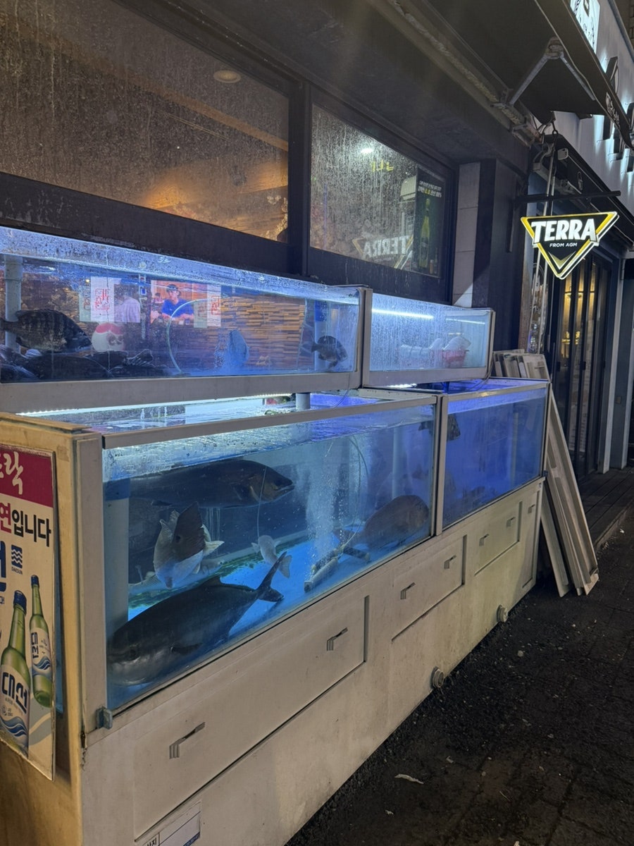 회뜨락 연산점 사진 3