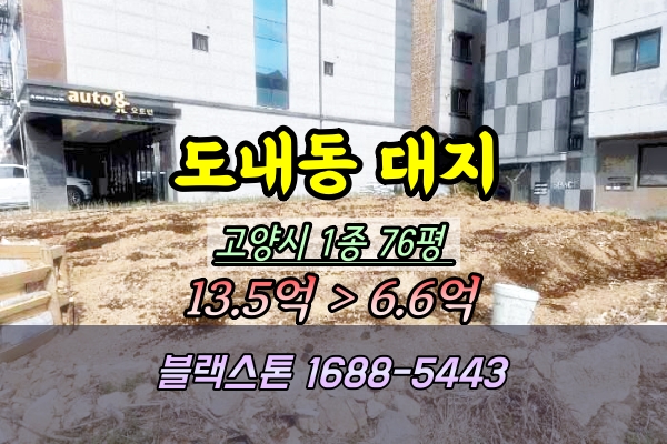  도내동 토지 경매 덕양구 1종 대지 100평이하 →2025타경1678