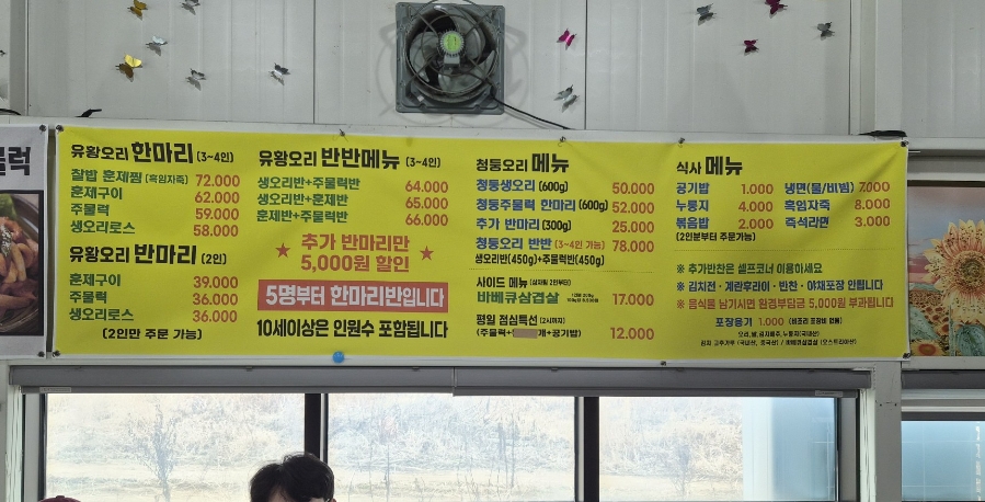 개정오리 사진 4