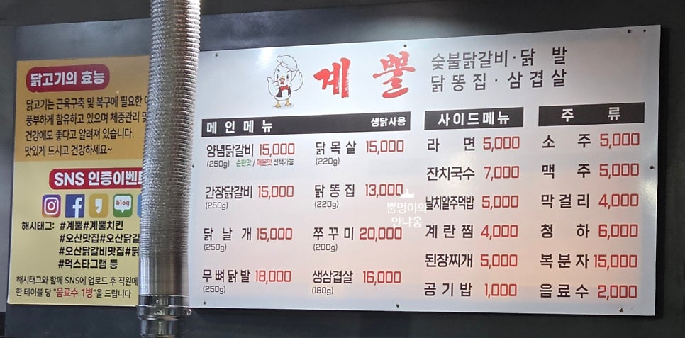 계뿔 사진 4