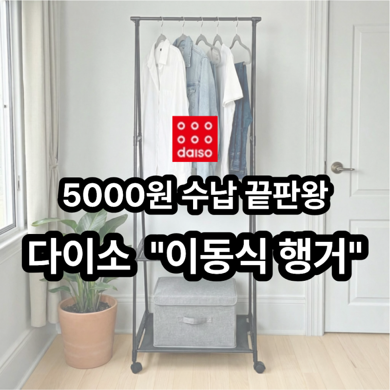 이 가격 이 맞아??5000원으로 끝나는 수납 혁명.. 다이소 "이동식 2단 행거"