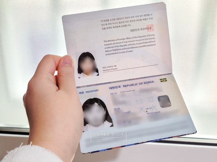  여권 발급 비용 준비물 구청 발급 후기 여권 우편 수령 기간 사진 규정