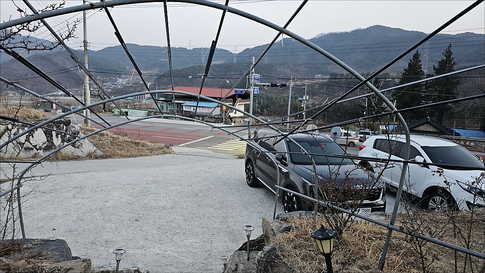 산에들에 사진 3