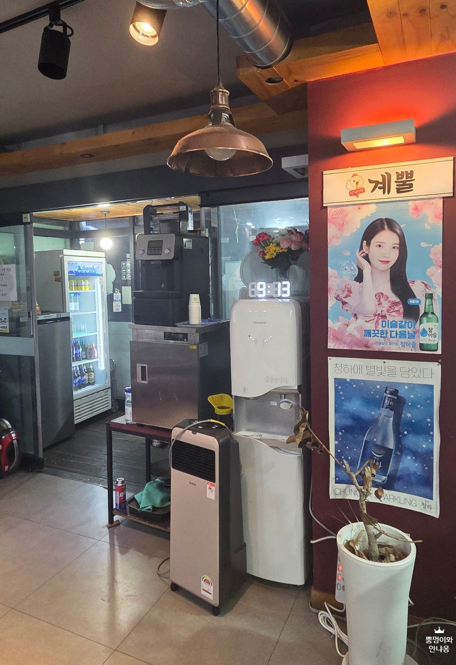 계뿔 사진 6