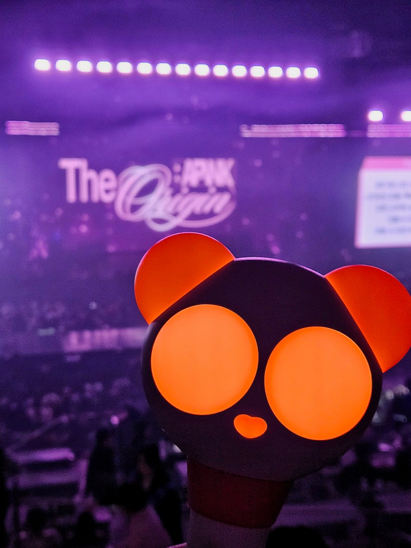 260222 에이핑크 콘서트 후기 2026 15주년 The Origin : APINK 8th concert 장충체육관