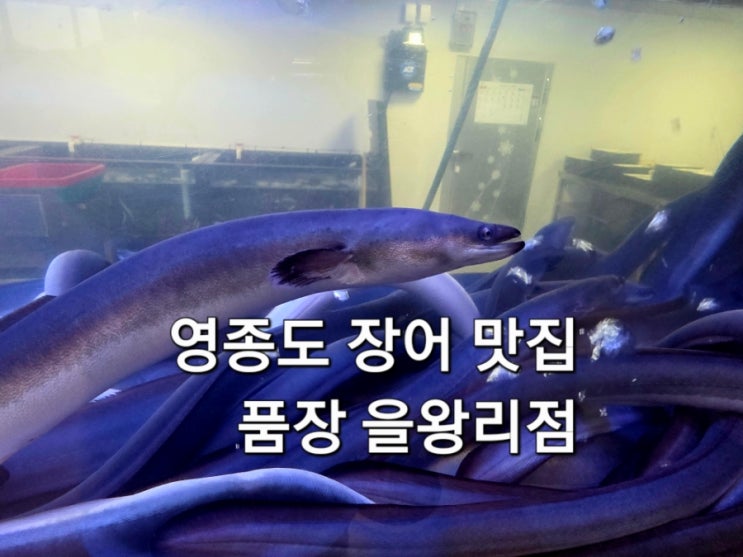  영종도 맛집 찾는다면 여기로 품장 을왕리점 가성비 좋은 장어구이 리얼 리뷰