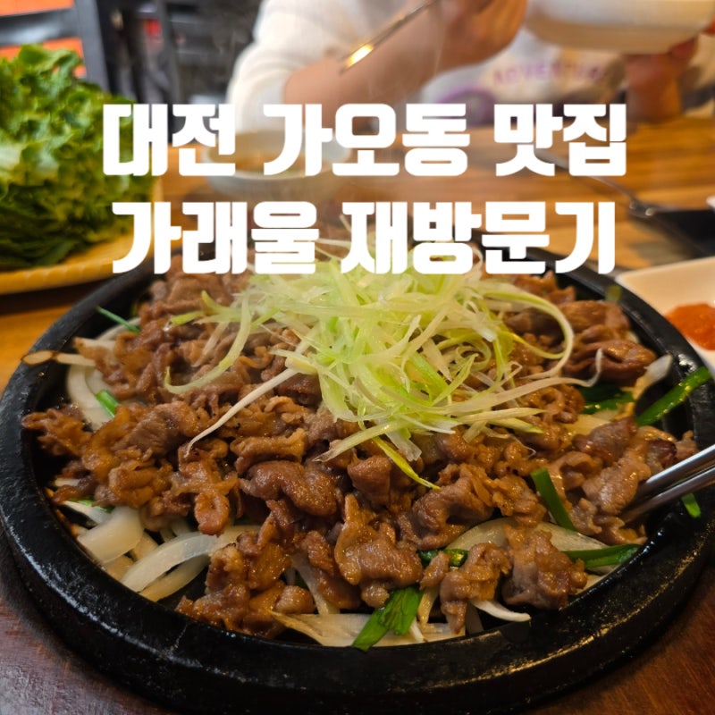 사진 5