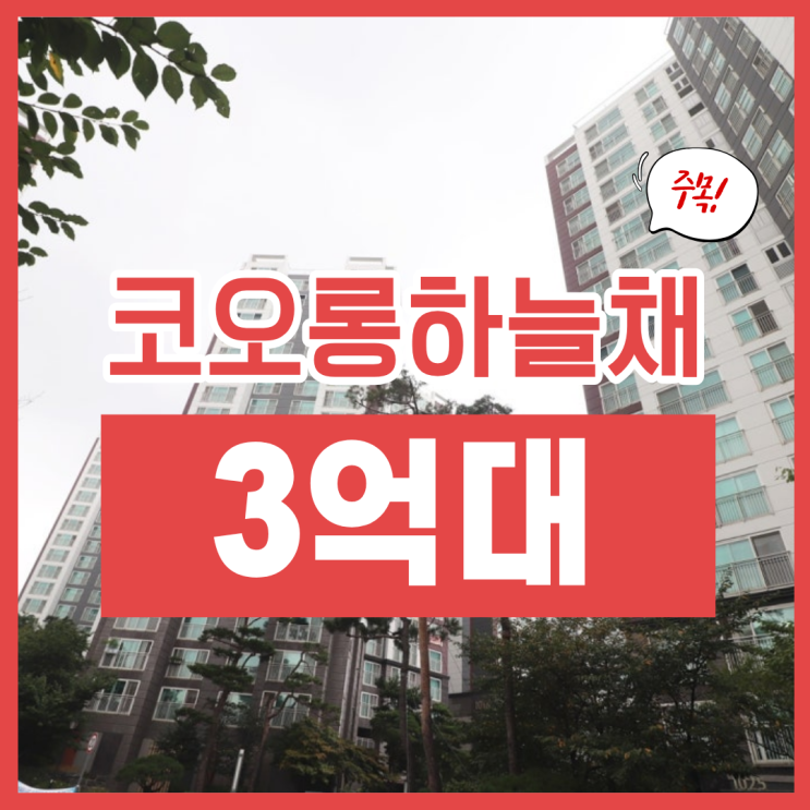  장안동코오롱하늘채 경매 물건, 권리 분석