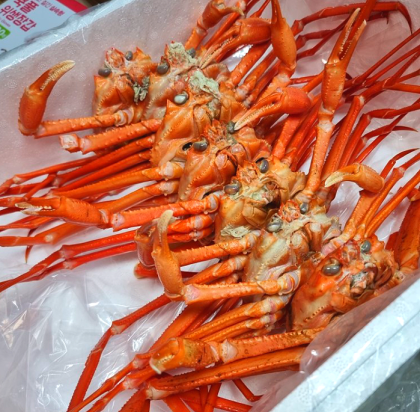 포항 홍게무한리필 택배/포장/홀