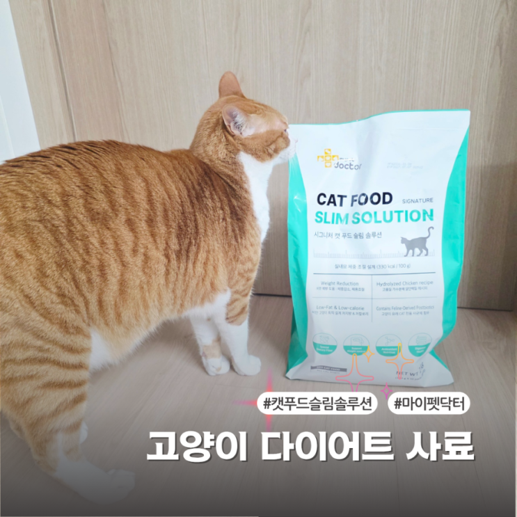  뚱냥이를 위한 마이펫닥터 고양이 다이어트 사료 리뷰