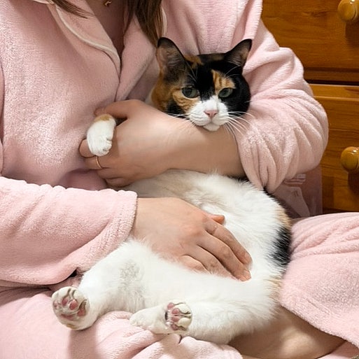  2月 직장인 일상ㅣ설날, 생일
