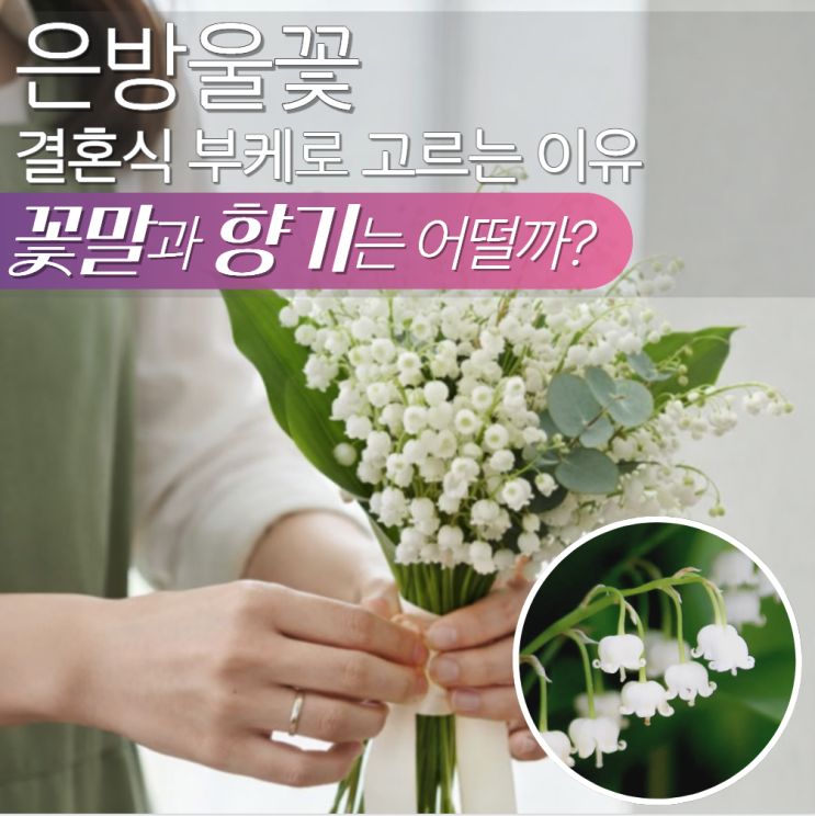  은방울꽃 꽃말 향 독 부케로 쓰는 이유