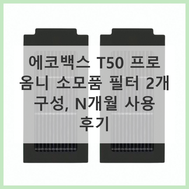 에코백스 T50 프로, 필터 2개 구성 가성비 끝판왕!