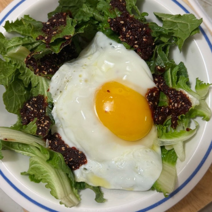  입맛 돋우는 봄 제철 요리, 봄동비빔밥 양념장 황금레시피 봄동 고르는 꿀팁 3가지