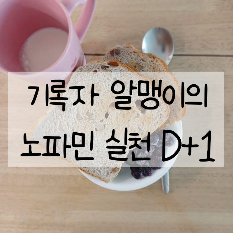  도파민 디톡스 D+1 | 완벽하지 않은 노파민 실천 첫날