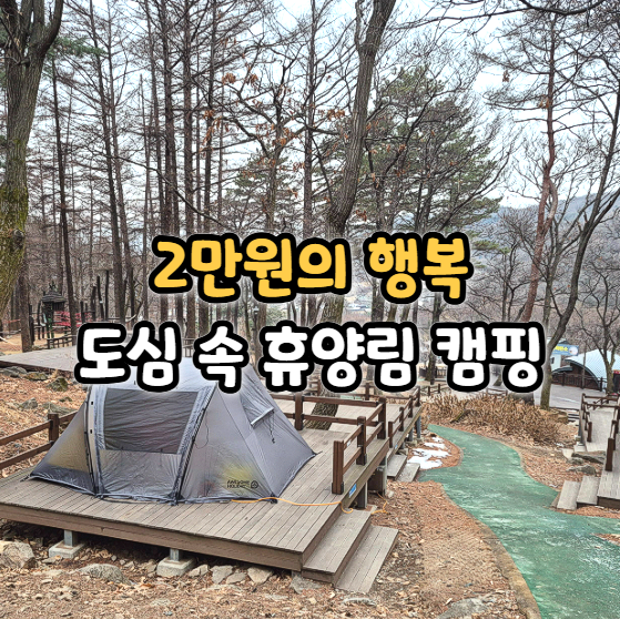  용인자연휴양림 야영장 데크 후기 명당 추천