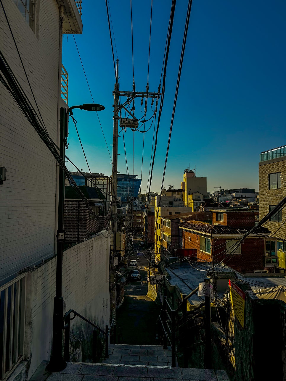 핌트 사진 1