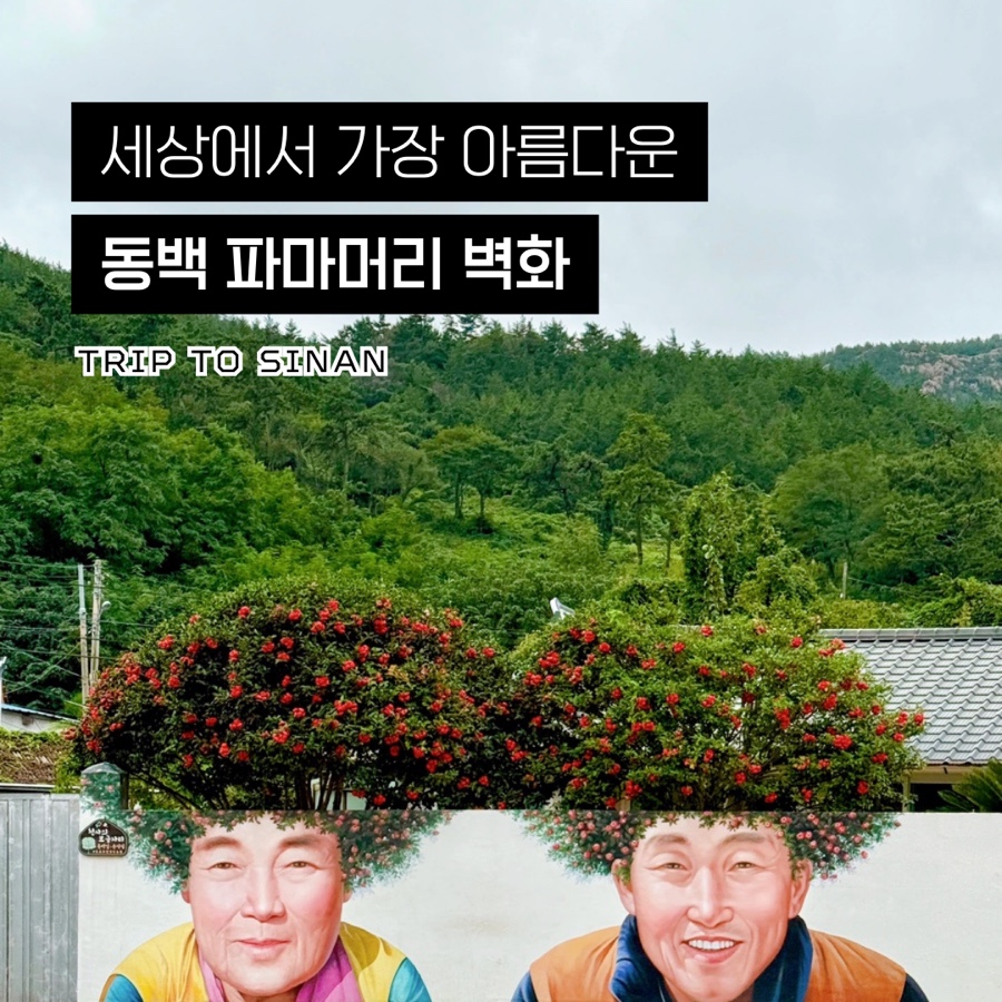 머리이야기 사진 1