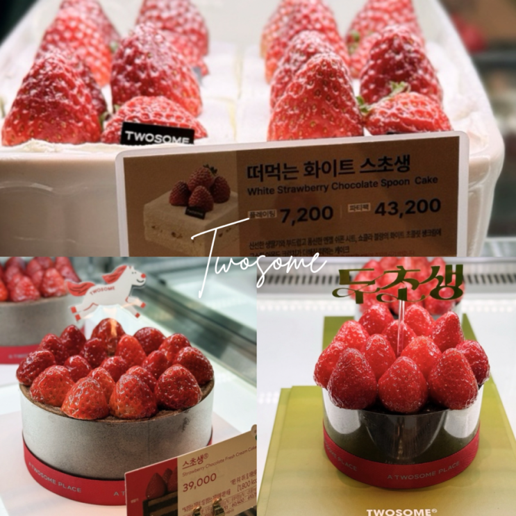  두쫀쿠보다 두초생이 더 맛있다? 투썸 두초생 후기