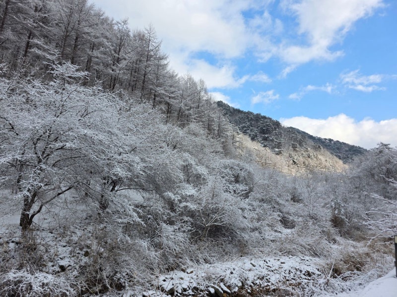 포레스트밸리펜션