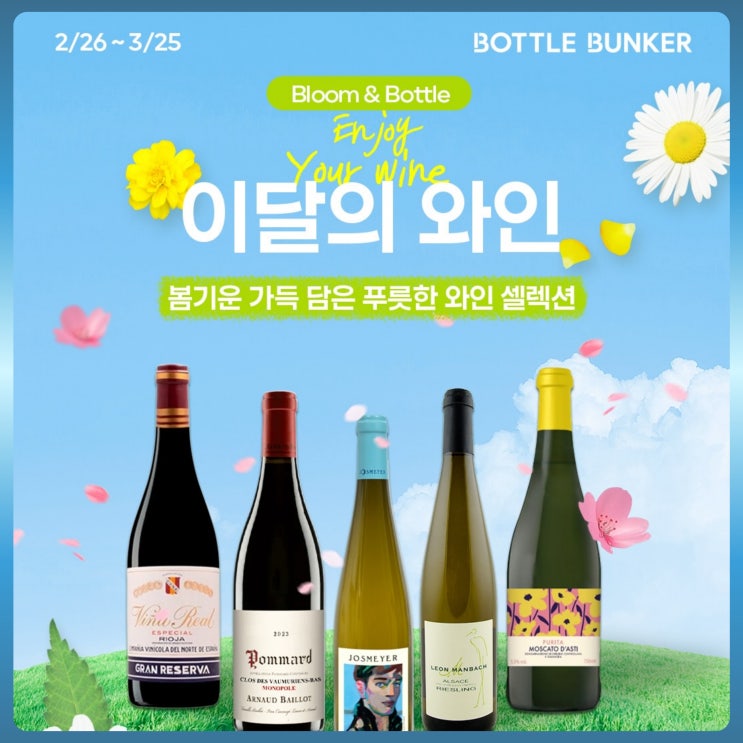  보틀벙커 이달의 와인