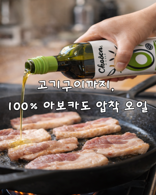 코스트코추천 초슨푸드 아보카도 오일 후기