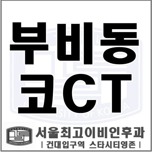 [건대 이비인후과] 코CT 검사에 대해 알려드립니다 ✨