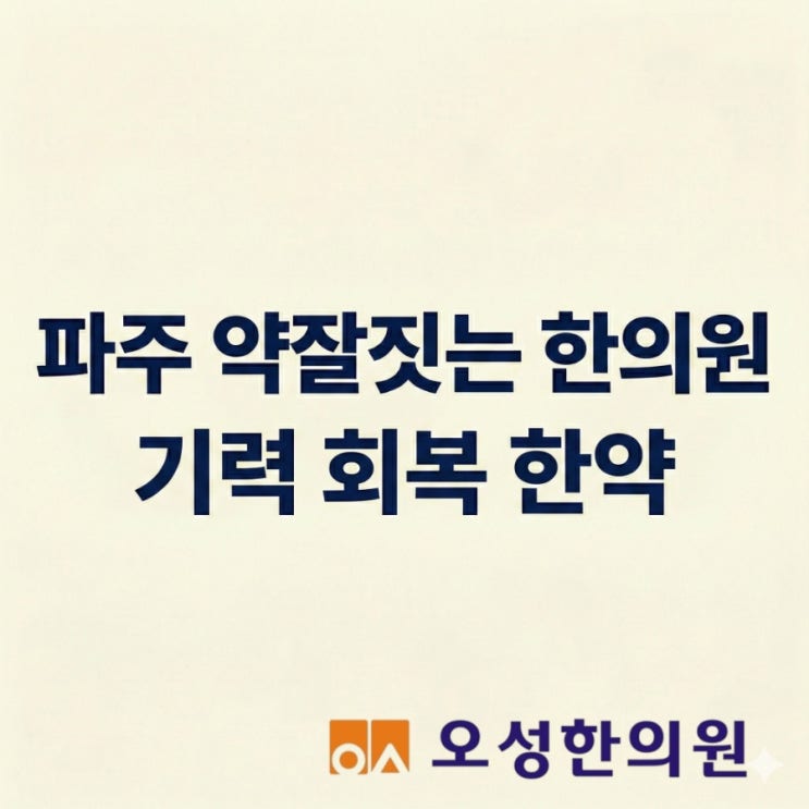  파주 진맥잘하는 한의원, 기력 회복 맞춤 한약 추천으로 찾아오시는 이유
