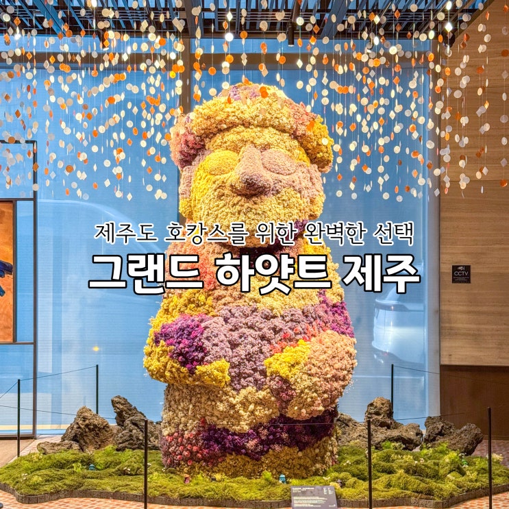  그랜드하얏트 제주 호텔 오션뷰 클럽룸 제주도 호캉스