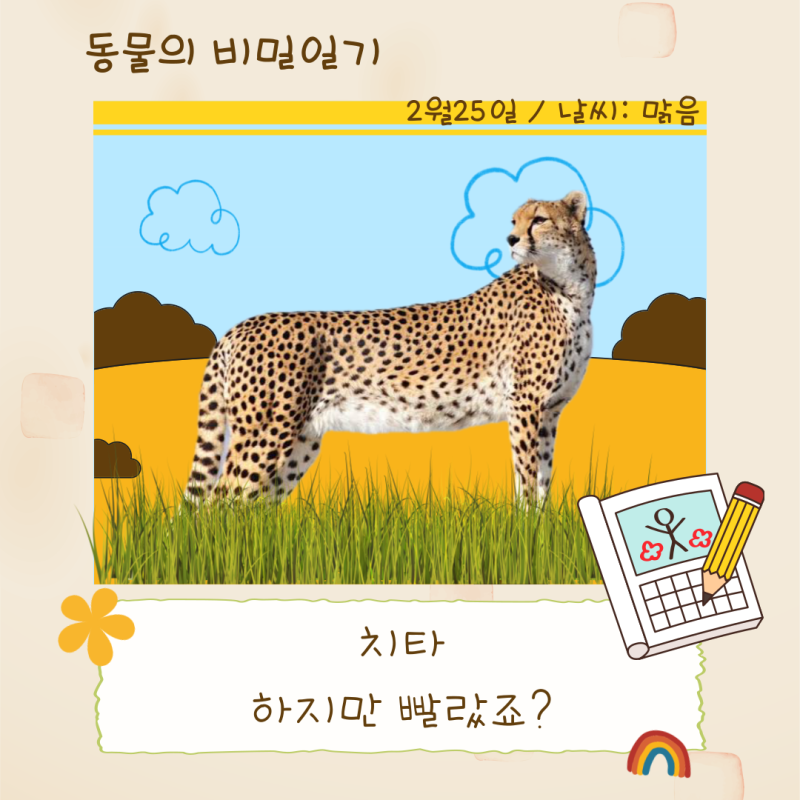치타, 가장 빠른데...왜 사바나의 왕은 아닐까?