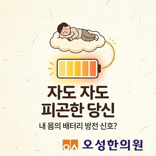  만성피로 자도 자도 피곤할때, 파주 약잘짓는 한의원