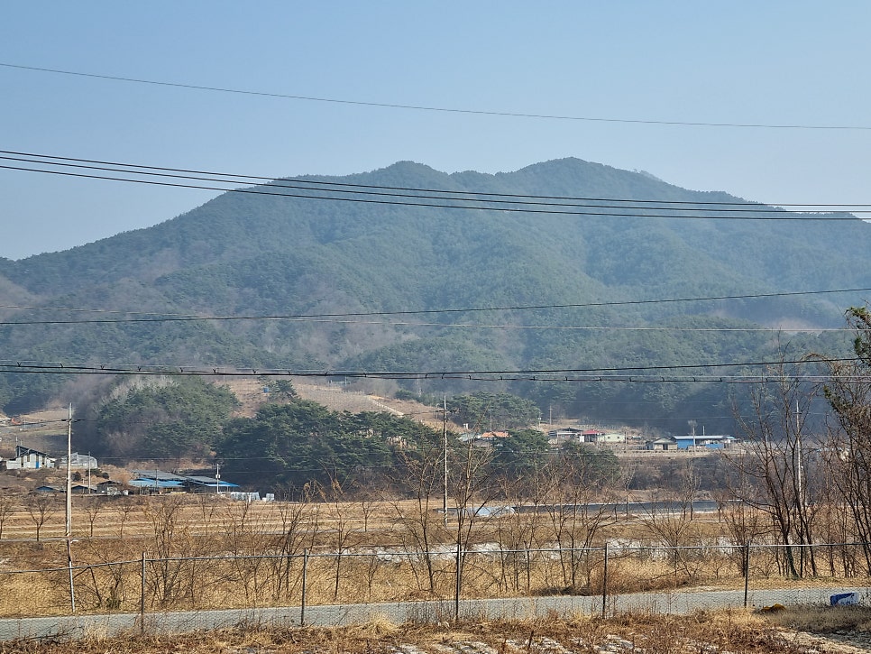 포도송이펜션 사진 1