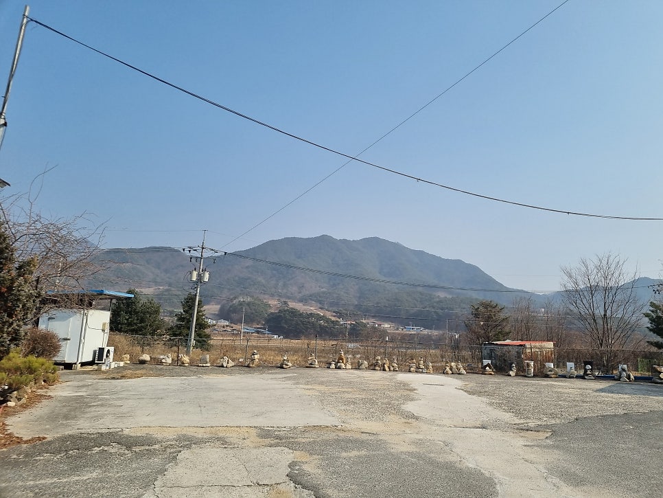 포도송이펜션 사진 2