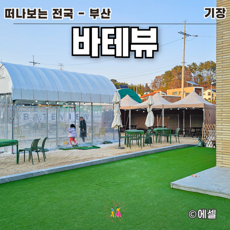 사진 5