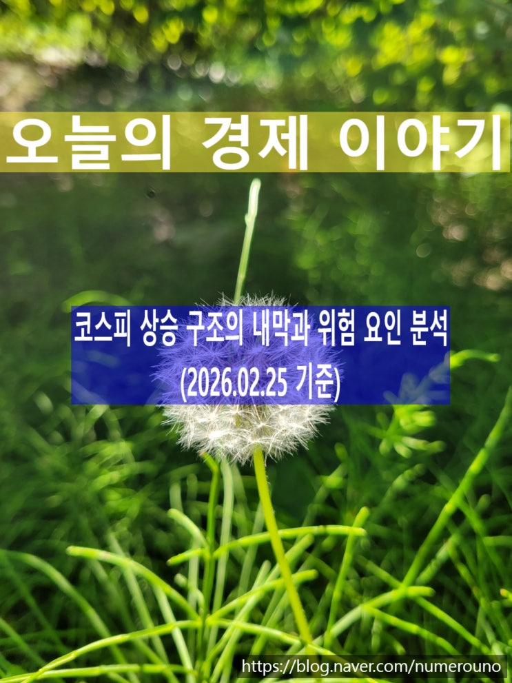  코스피 상승 구조의 내막과 위험 요인 분석 (2026.02.25 기준)