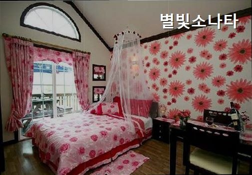 별빛소나타 사진 5