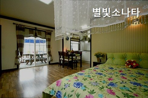 별빛소나타 사진 4