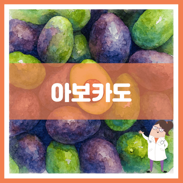  아보카도 효능 영양성분 부작용