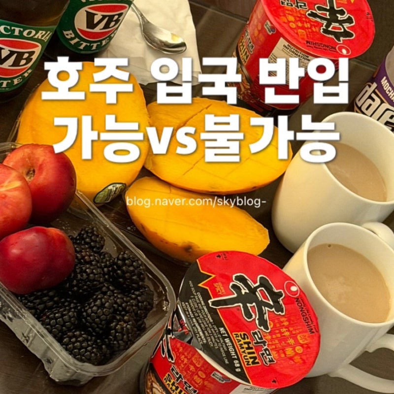 호주 입국 반입 가능 vs 불가능 정리 (라면, 햇반, 담배, 주류)