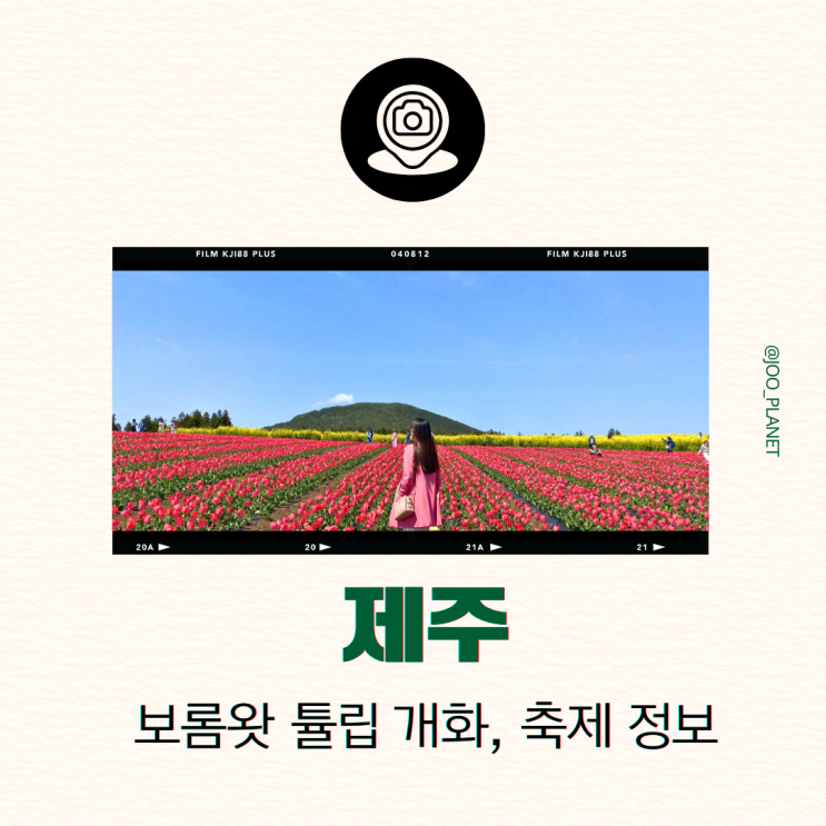  보롬왓 제주 3월 4월 튤립 시기 축제 입장료 서귀포 동쪽 가볼만한곳