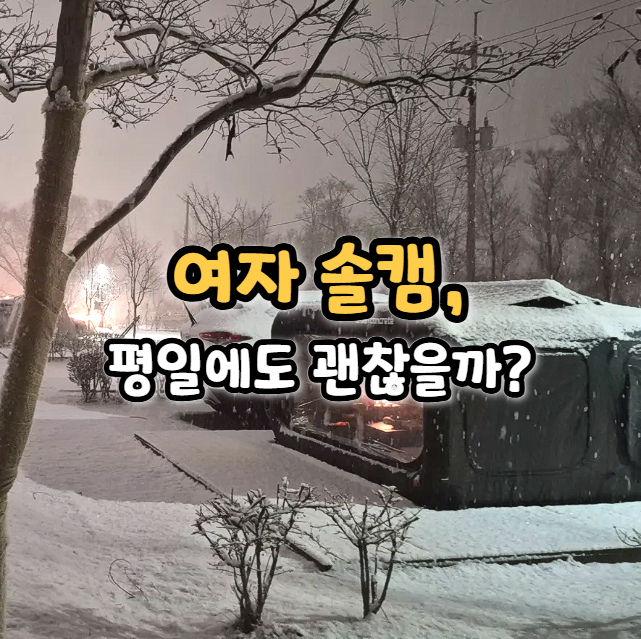  평일 전세캠 걱정 없는 여자 솔캠 캠핑장, 직접 모아봤어요