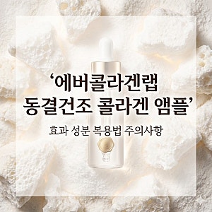 에버콜라겐랩 동결건조 콜라겐 앰플 효과 성분 사용법 주의사항