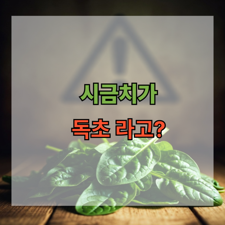  시금치가 독초라고? 우리가 매일 먹는 이 채소의 진실