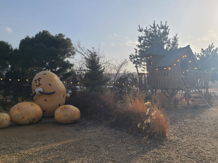  감자국을 대표하는 춘천 카페와 두바이쫀득감자빵 <감자밭 베이커리>