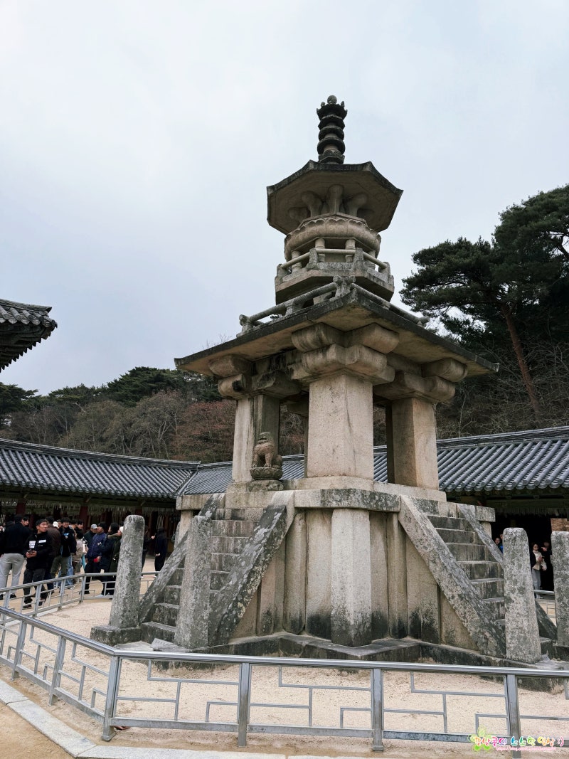 경주 가볼만한곳 불국사 국립공원 해설 예약 불국사박물관 솔직후기