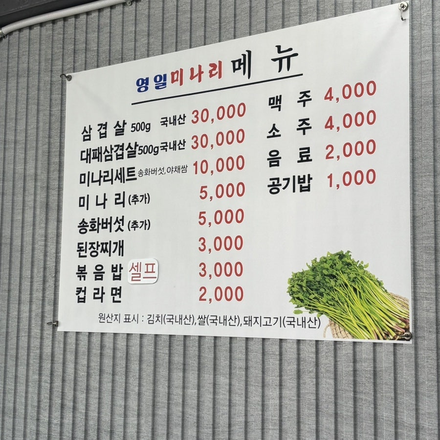 영일미나리 사진 2
