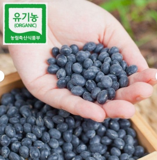 국산 유기농 서리태 속청 검은콩 효능부터 맛있게 먹는 법까지 총정리