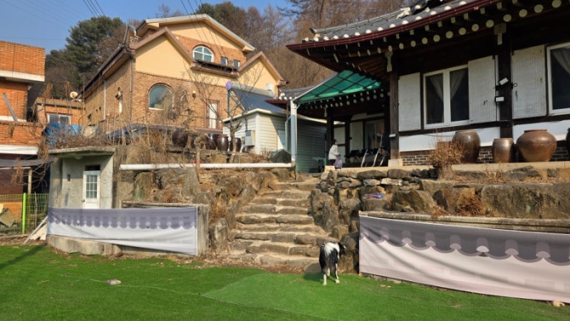 사진 11