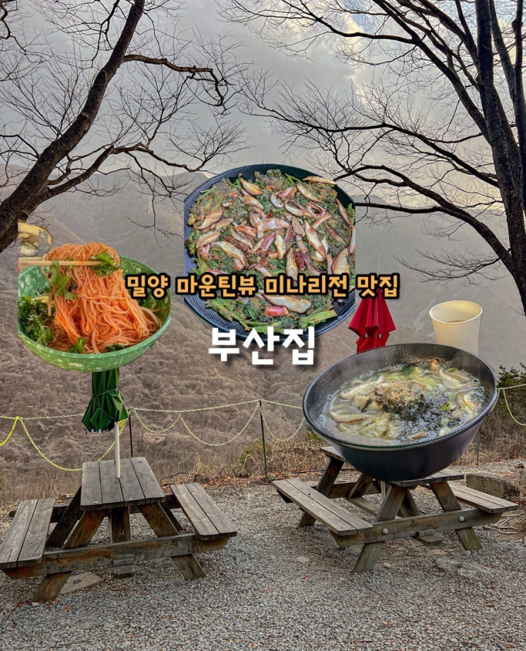  밀양 얼음골 케이블카 근처 맛집 마운틴뷰 바라보며 먹는 미나리전 부산집