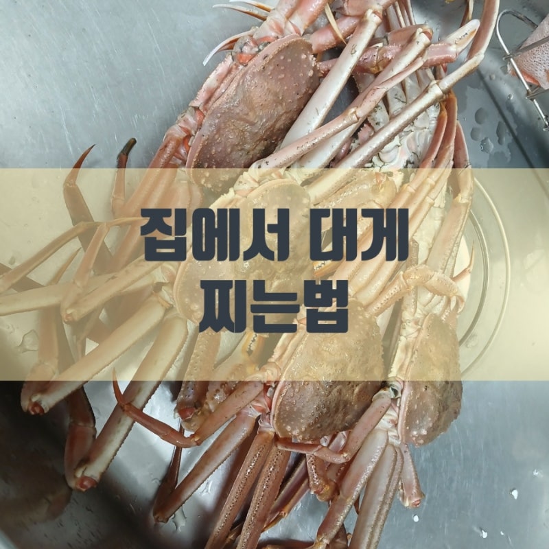 집에서 대게 맛있게 찌는 법/손질부터 시간 조절 완벽 가이드